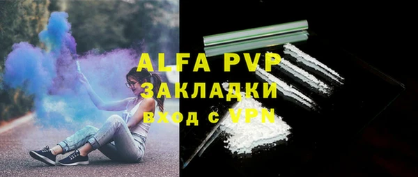 прущие грибы Усолье-Сибирское