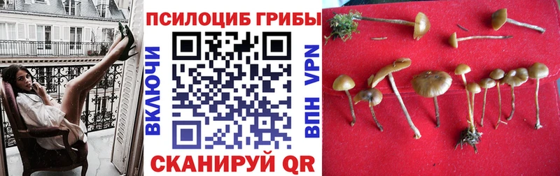 Галлюциногенные грибы мухоморы  Купить где  Среднеуральск 